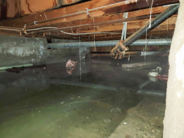 Professional Water damage restoration in Forest City, FL