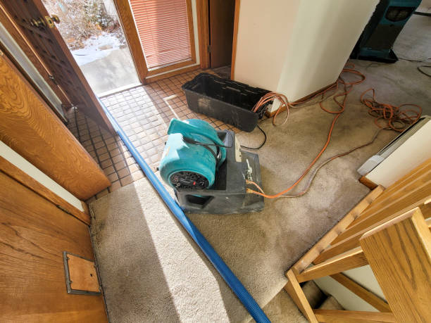 Best Flooded house restoration  in Forest City, FL