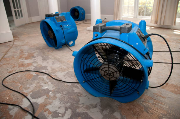 Best 24/7 water damage repair  in Forest City, FL