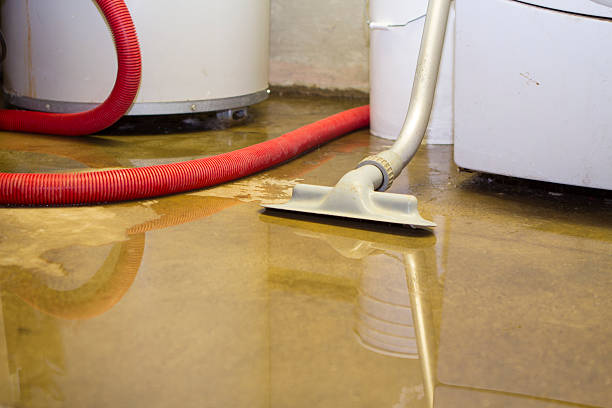 Best Mold removal after water damage  in Forest City, FL