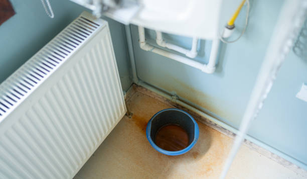 Best Water damage restoration company  in Forest City, FL