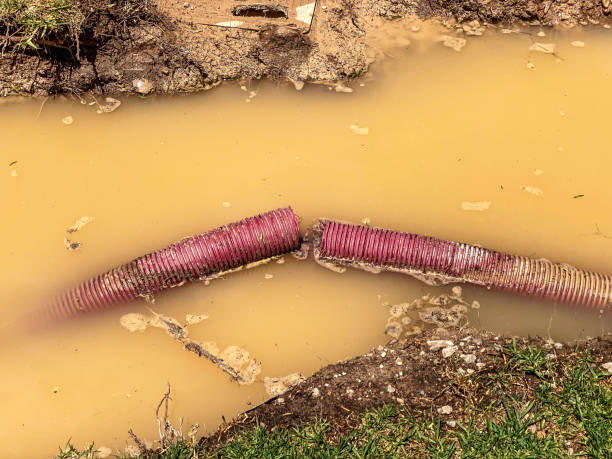 Best Water damage contractors near me  in Forest City, FL