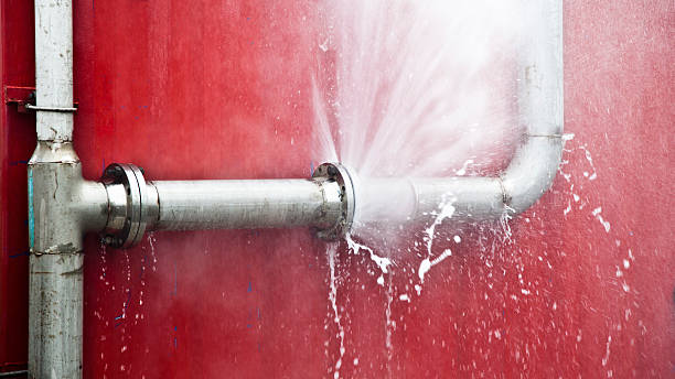 Best 24/7 water damage repair  in Forest City, FL